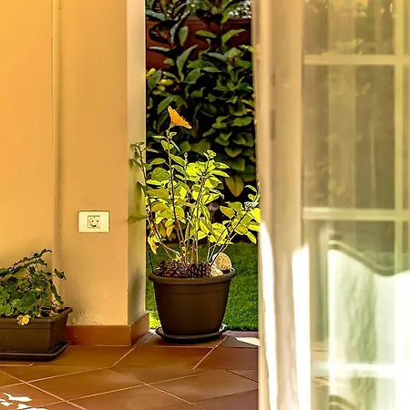 ​apartments Palmmar​ Par *